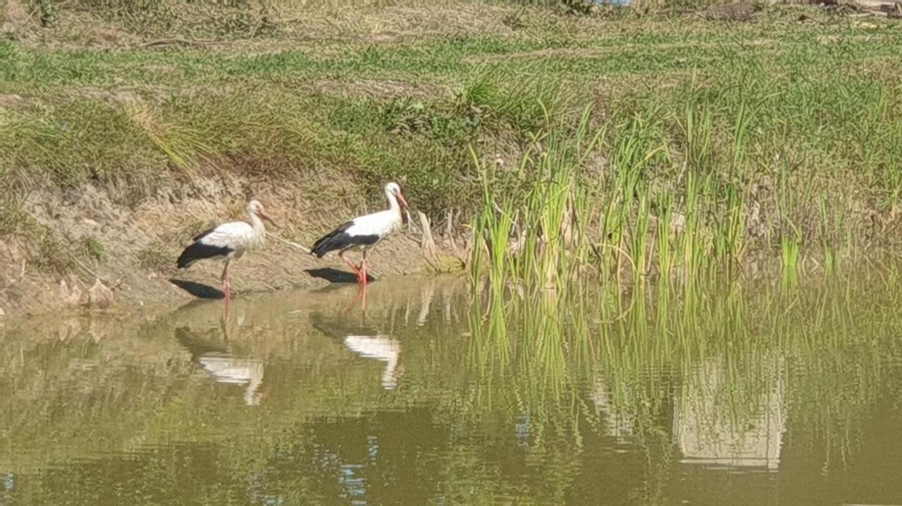 Domek Nad Stawem - Mazury Rozogi المظهر الخارجي الصورة